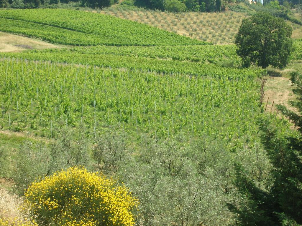 Podere Ghiole Montespertoli Exterior photo